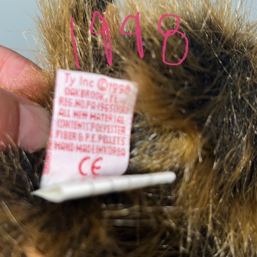 Ty “Beak the Kiwi Bird" Retired Ty Beanie Baby Buddy 1998 Vintage - Picture 10 of 13